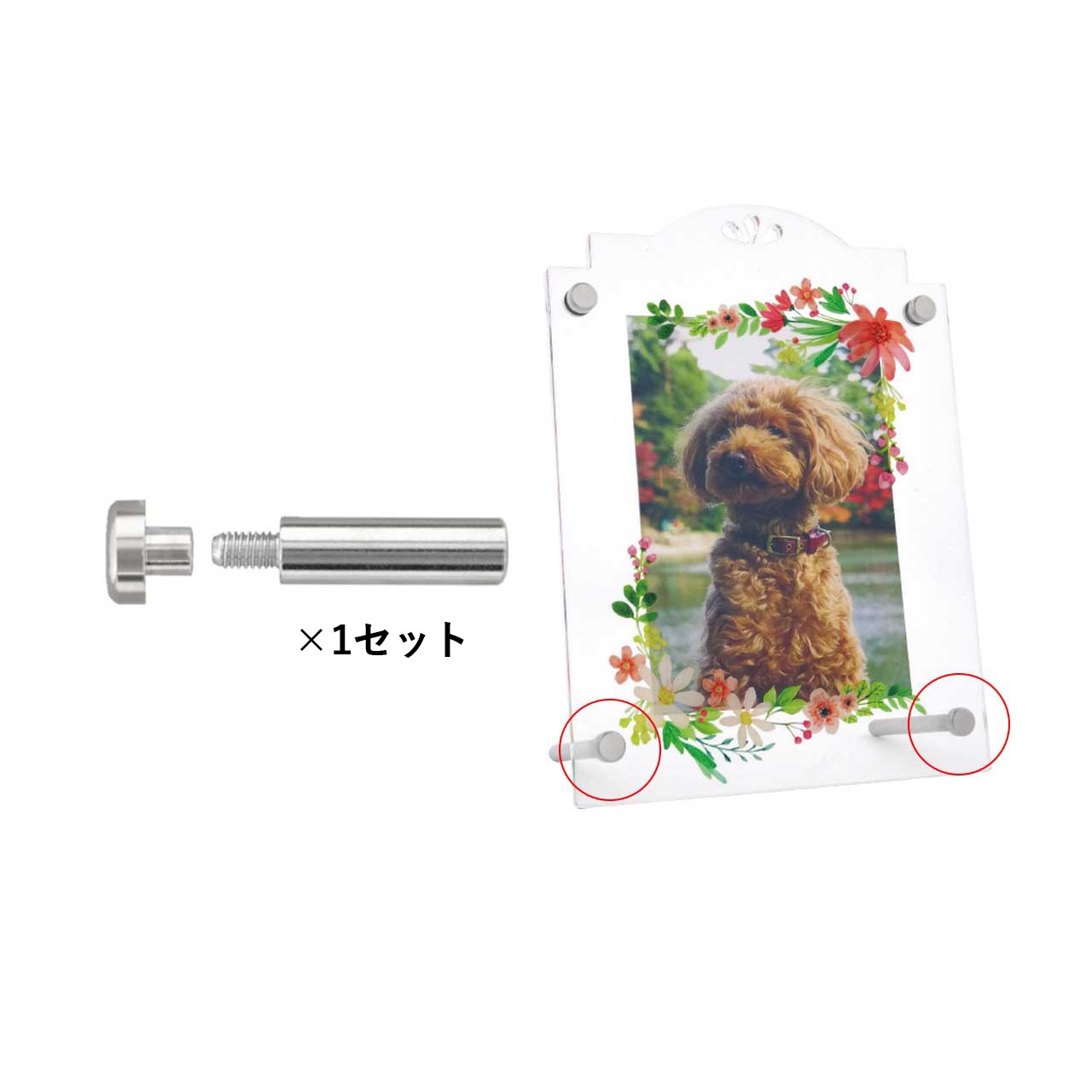 フォトスタンドパーツ 2点セット 4mm厚用 （フロント金具メス 4mm・脚60mm）
