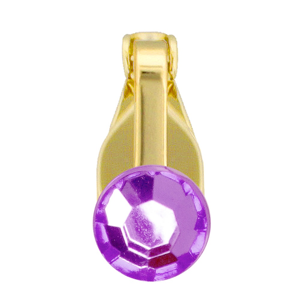 クリップアクセサリー 誕生石カラー 布クリップ マスククリップ ゴールド