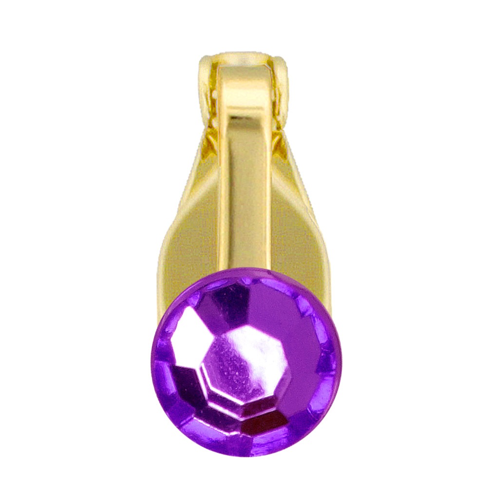 クリップアクセサリー 誕生石カラー 布クリップ マスククリップ ゴールド