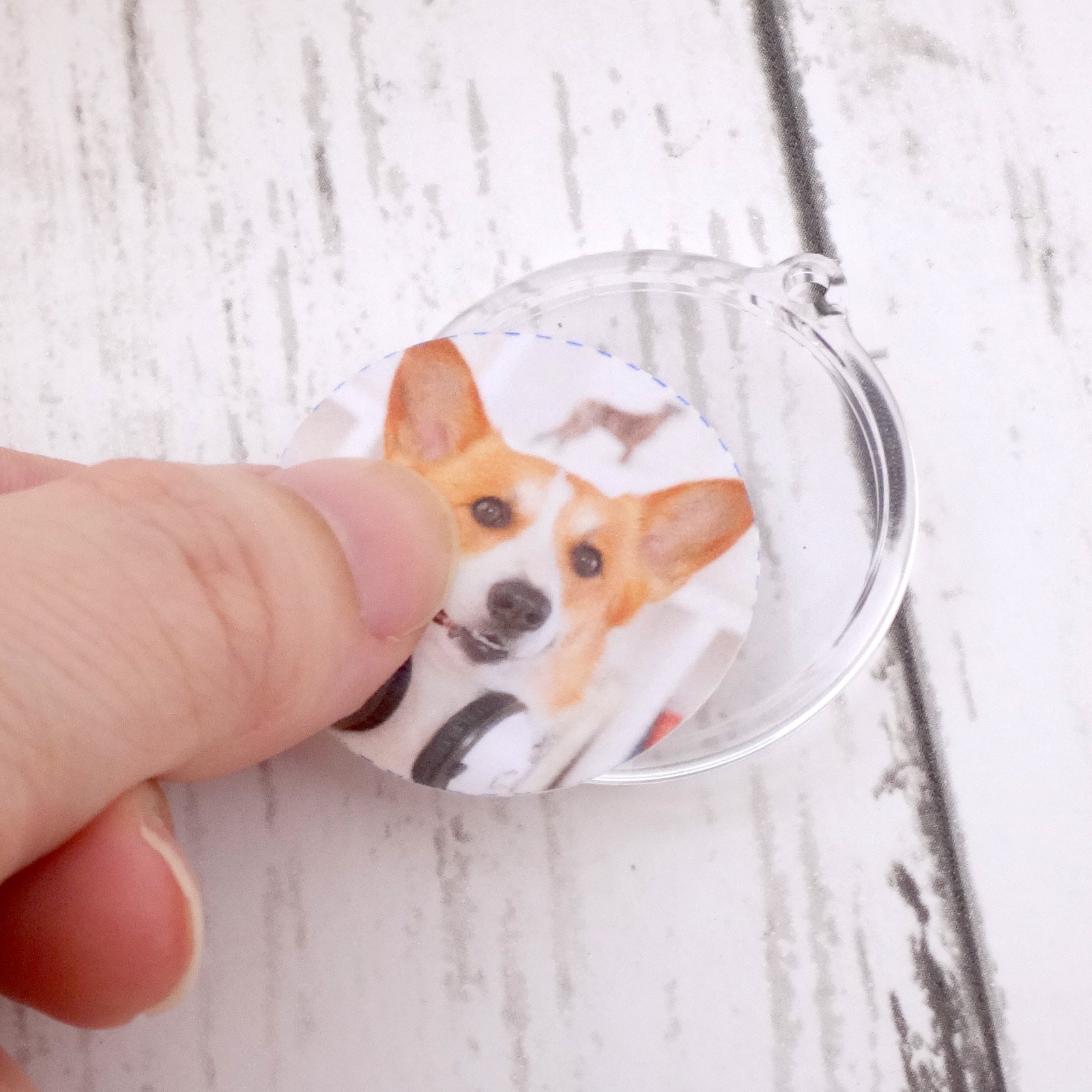 ハメパチ 丸型φ31mm KM31 本体のみ （CAA-M31A）