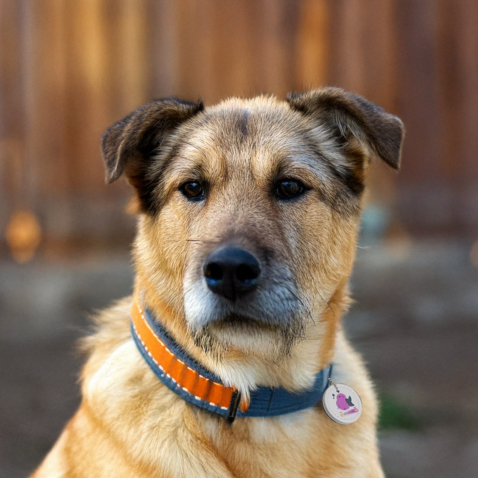 【大王製作所オリジナル】アンブレラマーカー PUプレートUVピンク 紫外線変色タイプ シマエナガ/太陽