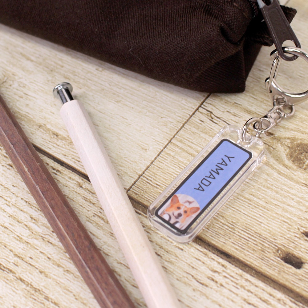 ハメパチ 長方形（ネームプレート型） KN36 本体のみ （CAA-K36A）