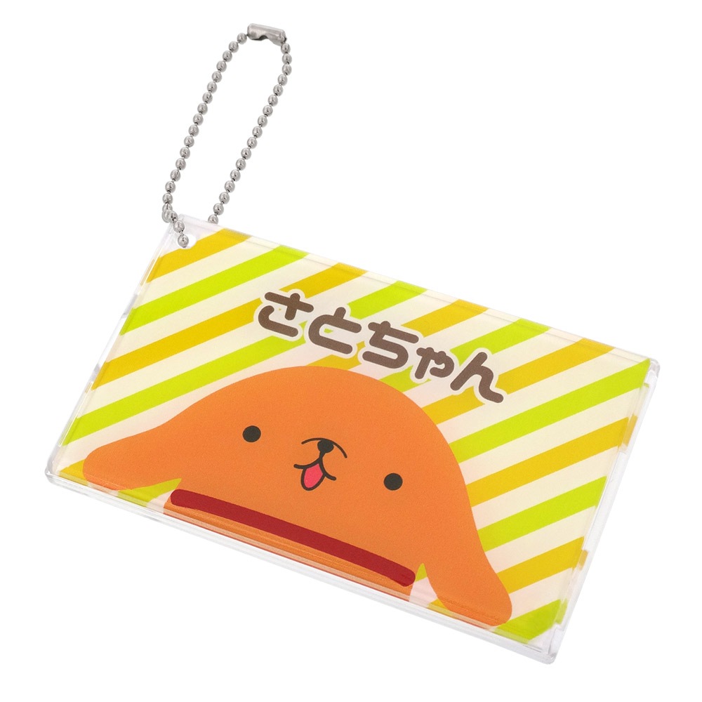 PC（ポリカーボネート）製 パスケース 長方形 62×102mm クリア