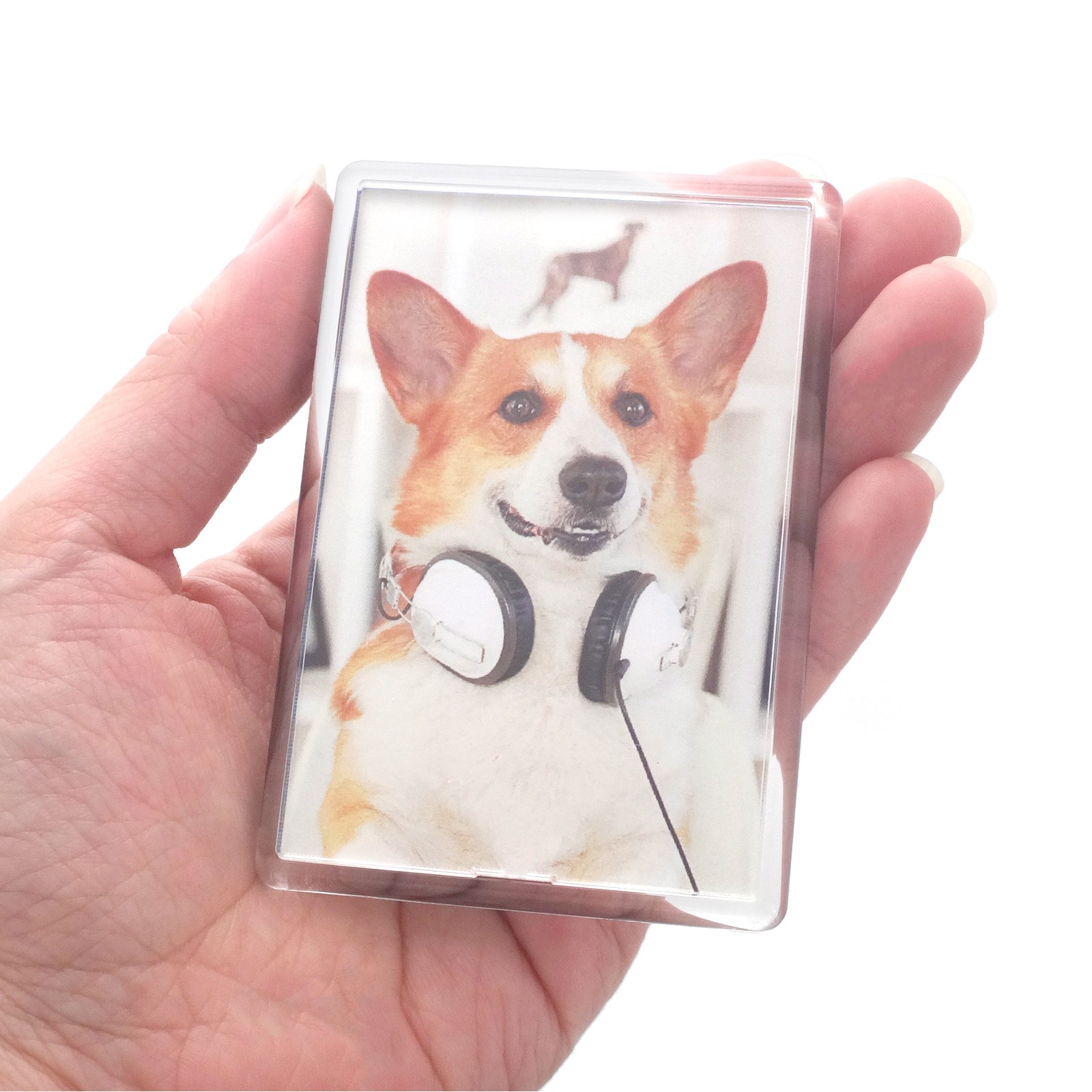 ハメパチ マグネットタイプ 長方形 （CAM-K77A）