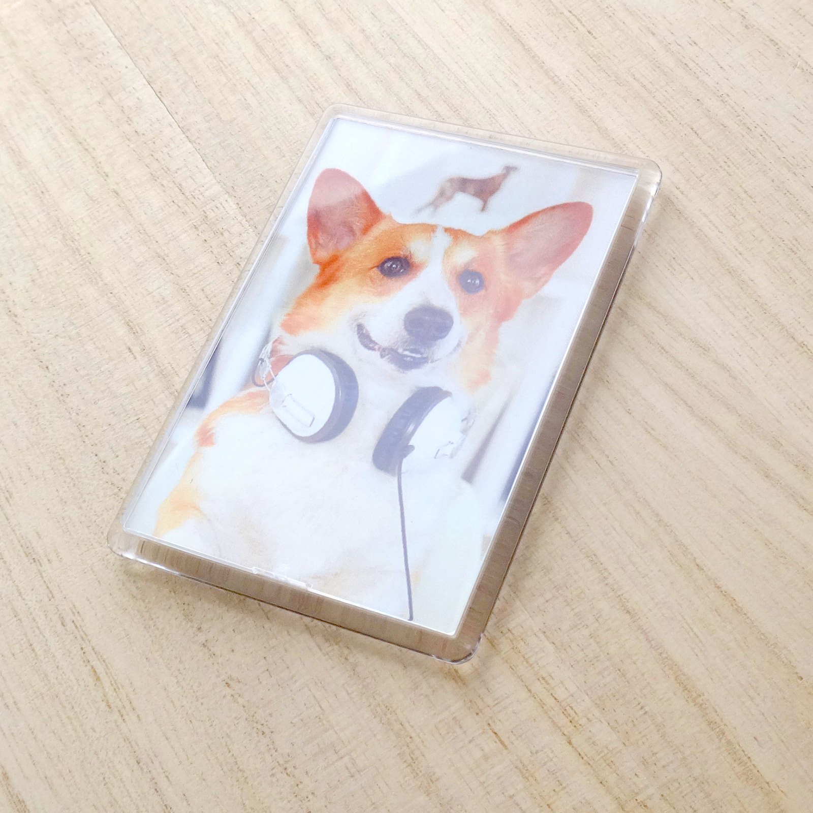 ハメパチ マグネットタイプ 長方形 （CAM-K77A）