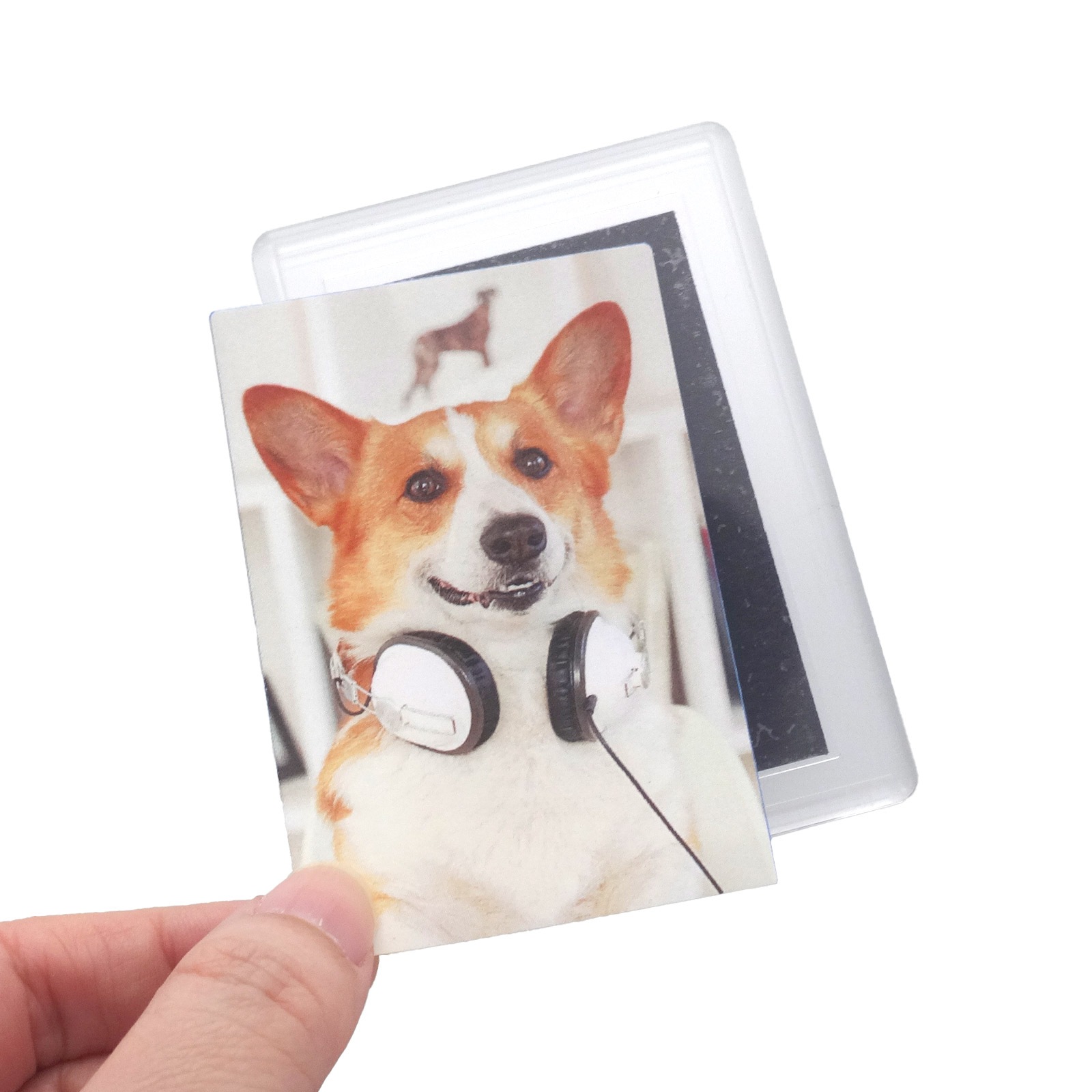 ハメパチ マグネットタイプ 長方形 （CAM-K77A）