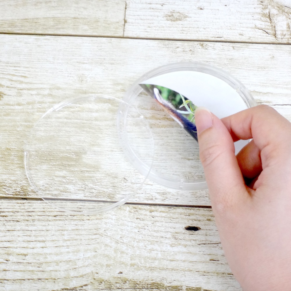 ハメパチ コースター CM75 （CAO-M74A）