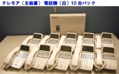 �ӥ��ͥ��ե���IWATSU��TEREMORE����10