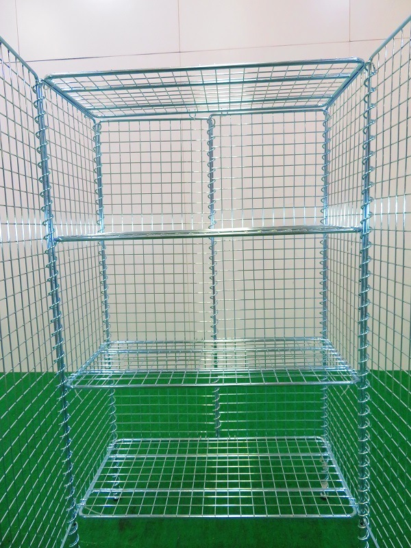 ťեȶH12003ʥåѥå