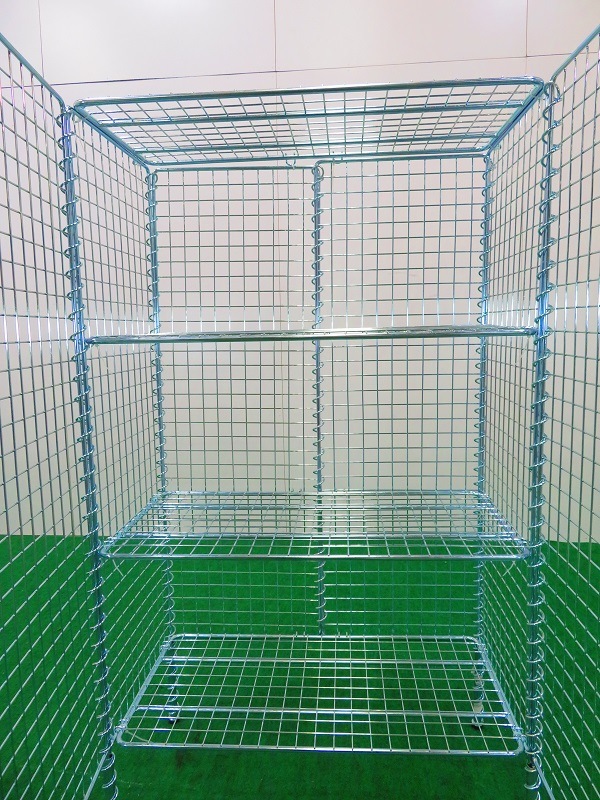 ťեȶH12003ʥåѥå