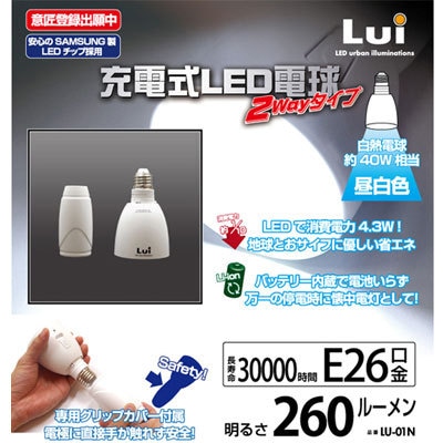 充電できるLEDライト 昼白色