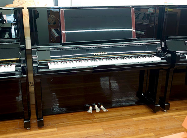 ヤマハ アップライトピアノ YU5 #5777284 【中古品】｜ピアノ  