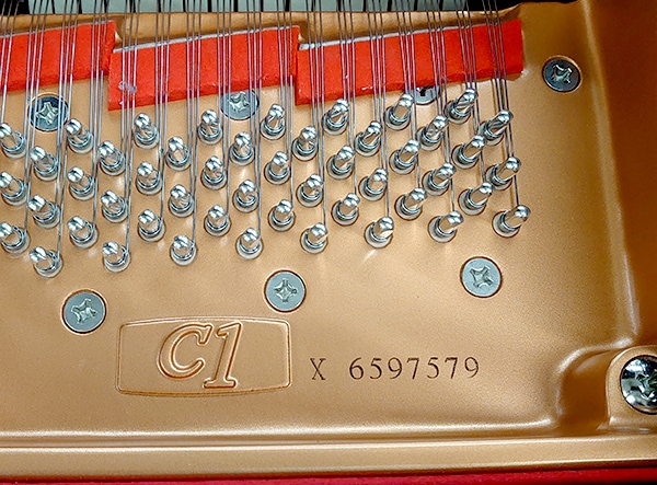 ヒナノビア キノクニ ： ボルトオンタービンIN&OUTウォーターライン