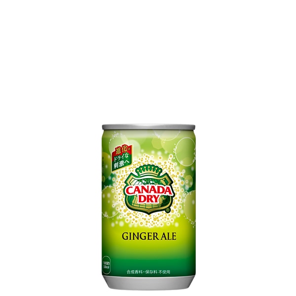 3ケースセット】カナダドライジンジャーエール 160ml缶×90本：駄菓子