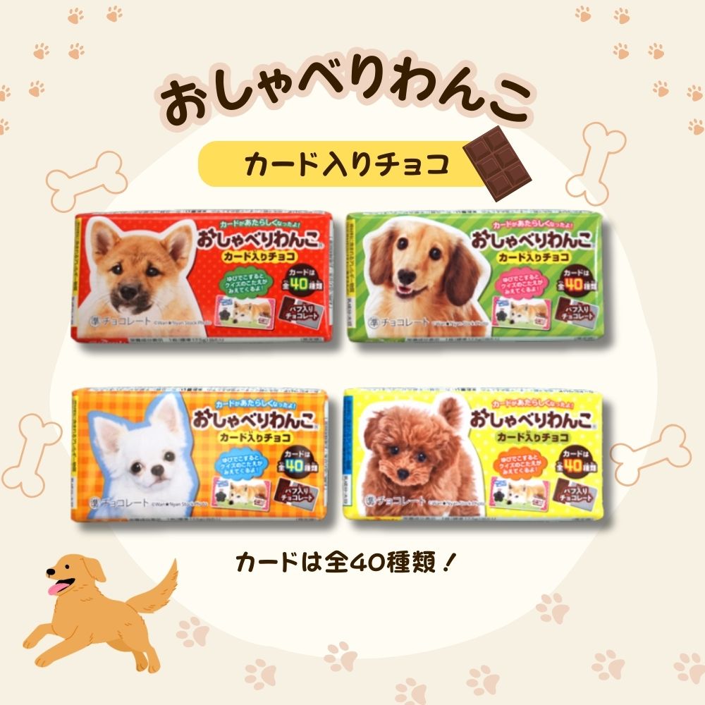 正栄デリシィ おしゃべりワンコ クランチチョコ [1箱 20個入]