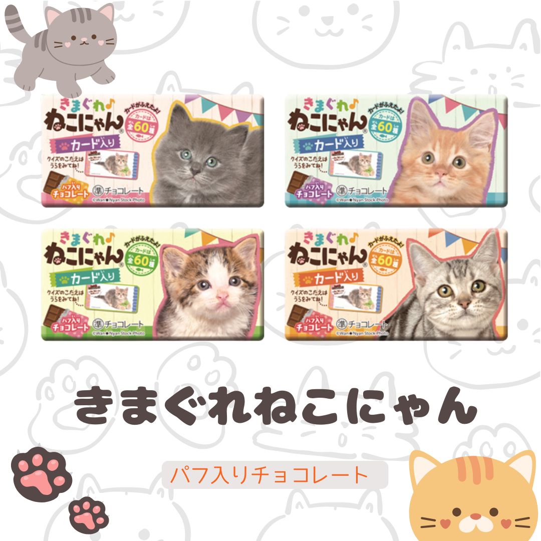 正栄デリシィ きまぐれねこにゃん クランチチョコ [1箱 20個入]