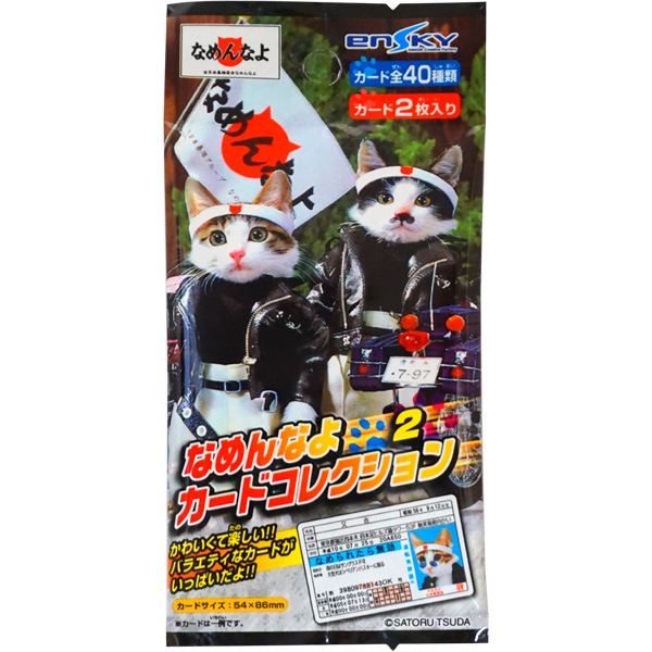 100円 エンスカイ なめんなよカードコレクション [1箱 20袋入]