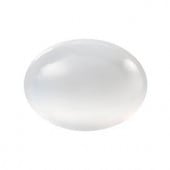 �ץ쥷����/���ܥ����(�ʱ�)/B-00381