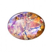 �ץ쥷����/���ܥ����(�ʱ�)/C-00617