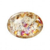 �ץ쥷����/���ܥ����(�ʱ�)/C-02200