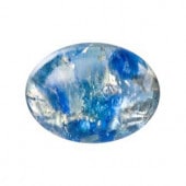 �ץ쥷����/���ܥ����(�ʱ�)/C-02207