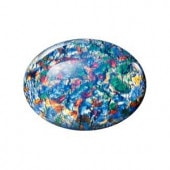 �ץ쥷����/���ܥ����(�ʱ�)/C-04531