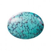 �ץ쥷����/���ܥ����(�ʱ�)/A-04390