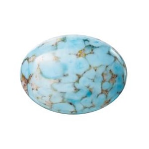 �ץ쥷����/���ܥ����(�ʱ�)/A-00566