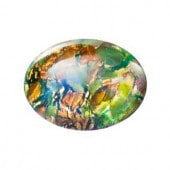 �ץ쥷����/���ܥ����(�ʱ�)/C-00625