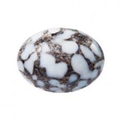 �ץ쥷����/���ܥ����(�ʱ�)/A-03995