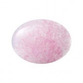 �ץ쥷����/���ܥ����(�ʱ�)/B-00567