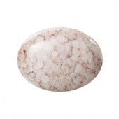 �ץ쥷����/���ܥ����(�ʱ�)/A-00647