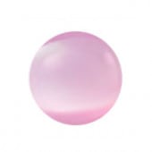 �ץ쥷����/���ܥ����(�ݷ�)/B-00375