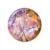 �ץ쥷����/���ܥ����(�ݷ�)/C-00617