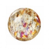 �ץ쥷����/���ܥ����(�ݷ�)/C-02200