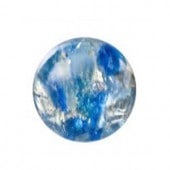 �ץ쥷����/���ܥ����(�ݷ�)/C-02207