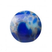 �ץ쥷����/���ܥ����(�ݷ�)/A-01224