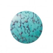 �ץ쥷����/���ܥ����(�ݷ�)/A-04390