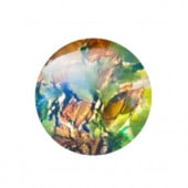 �ץ쥷����/���ܥ����(�ݷ�)/C-00625