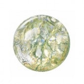 �ץ쥷����/���ܥ����(�ݷ�)/C-02201