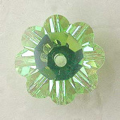 ������ե�����/�ե�/3700/10mm/�ڥ�ɥåȥ�������/5��