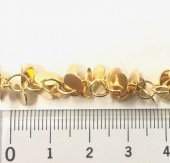 �ǥ������������/T552/10cmñ��