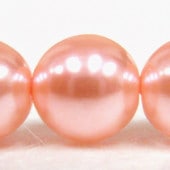 ѡ/̤/NO.611/10mm14mm