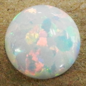 �������ѡ���/Ⱦ�ݷ�/�ۥ磻��#17/1��