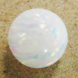 �������ѡ���/�ݷ��̤���/�ۥ磻��#17/1��