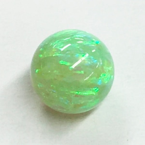 �������ѡ���/�ݷ��ҷ�/�饤�ȥ��꡼���12/1��