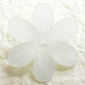 ��������/PB5/23.5��7.5mm��1��/�ޥåȥ��ꥹ����/2��