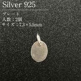 SV925/�ץ졼��/SVPT1-7355/7.3��5.5mm/2��