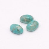 �ץ쥷����/���ܥ����(�ʱ�)/B-03191