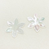 ѥ󥳡/֡2ķ/HT21/36mm/򥪡/5